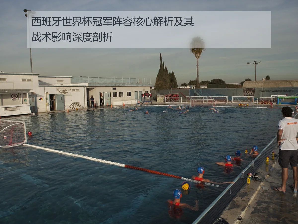 西班牙世界杯冠军阵容核心解析及其战术影响深度剖析